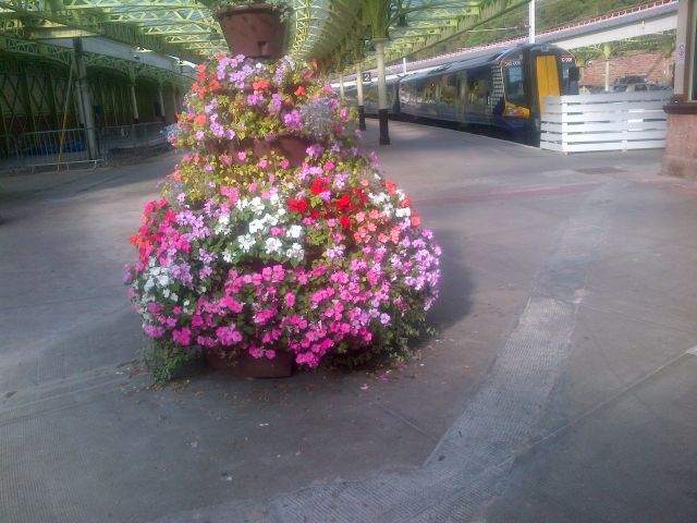 Flower display provided by The Friends of Wemyss Bay Station